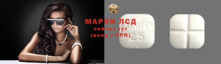 марки nbome Гусев