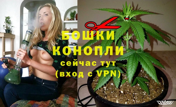 марки nbome Гусев